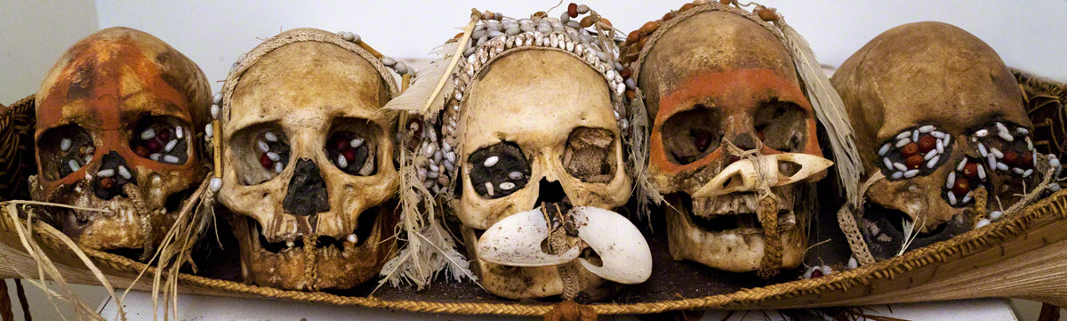 Asmat Skulls
